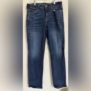 American Eagle Outfitters Dark Blue Straight Jeans